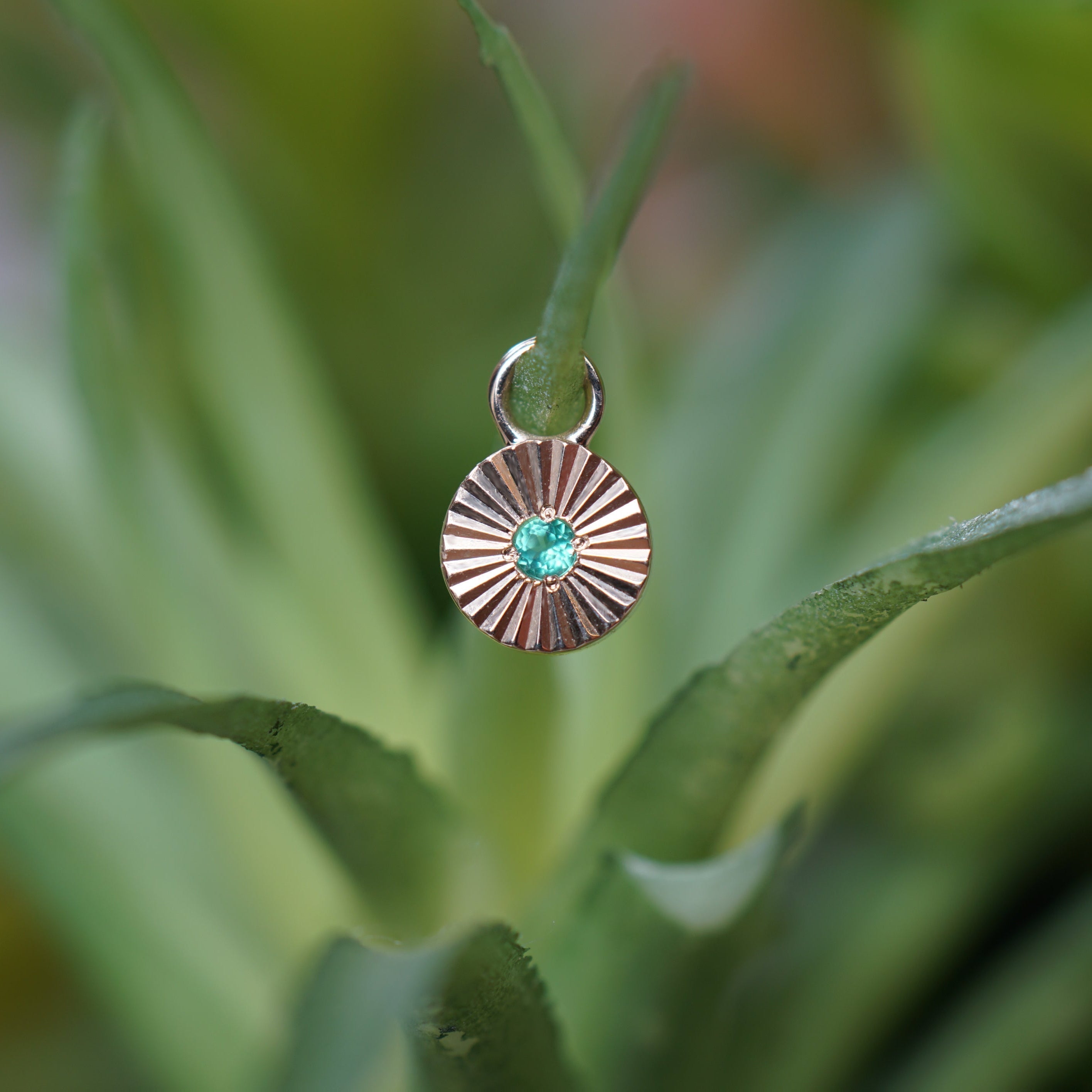 Sloan Ray Charm