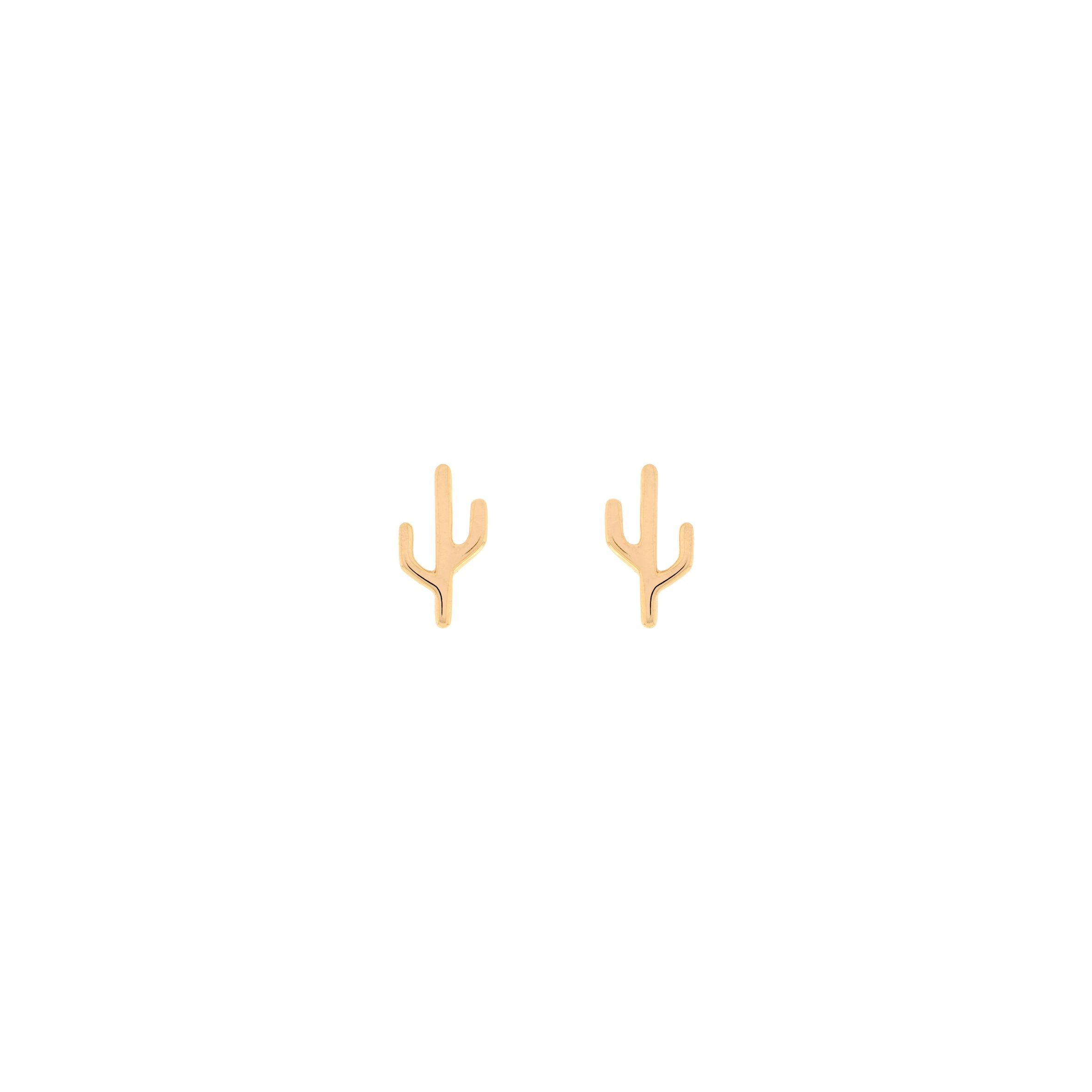 Cactus - Mojave