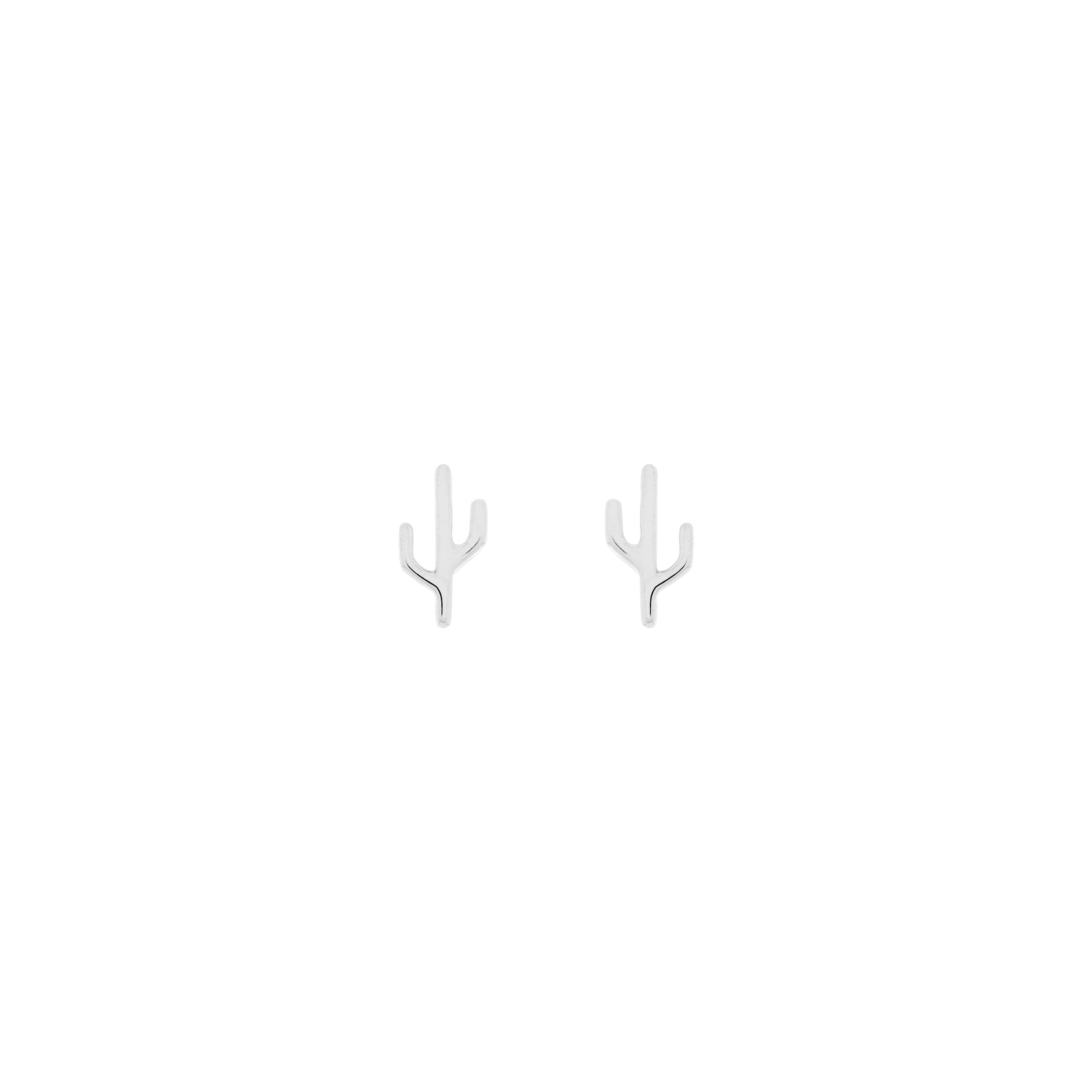 Cactus - Mojave