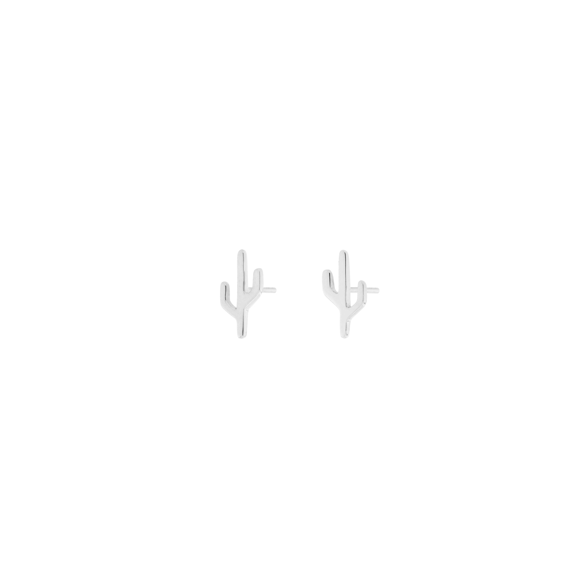 Cactus - Mojave