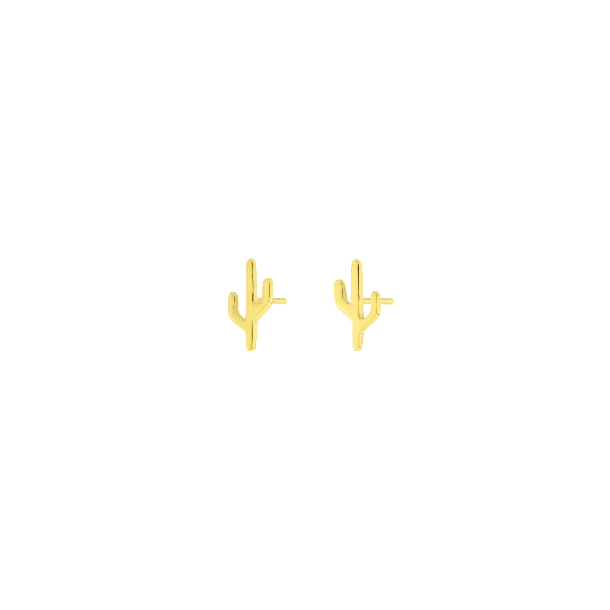 Cactus - Mojave
