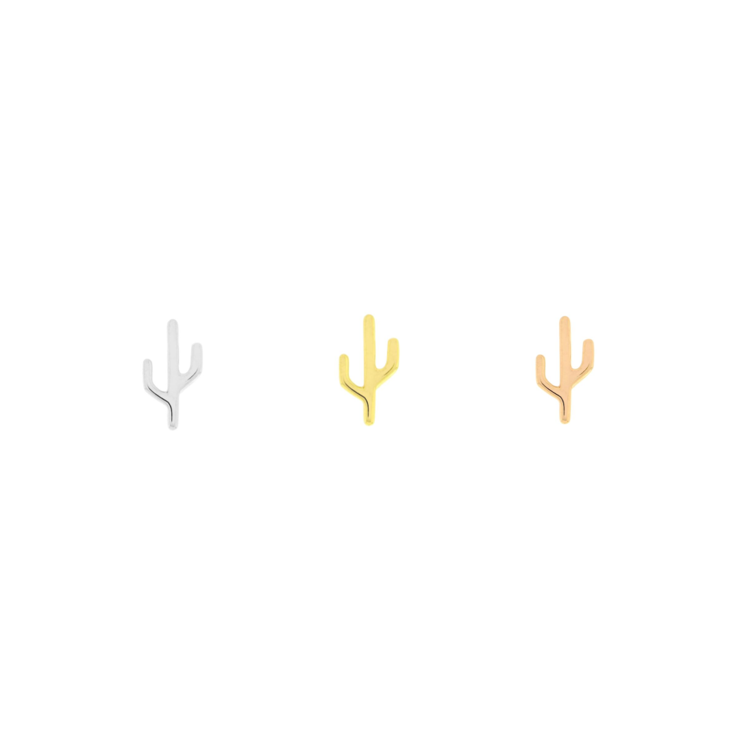 Cactus - Mojave