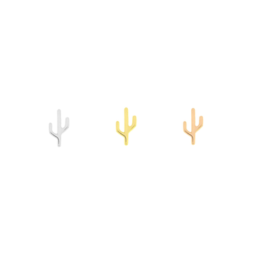 Cactus - Mojave