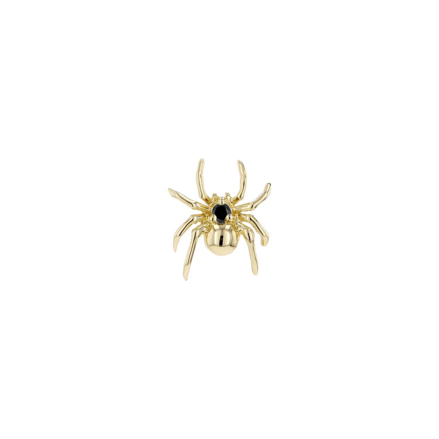 Pippa Diamond Spider