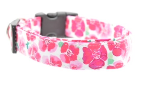 Dog Collars