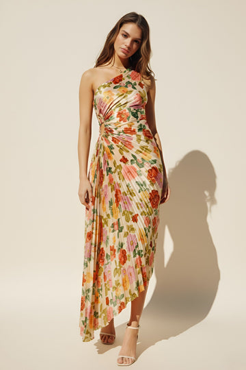 Hailey Romantic Garden Pleated Dress