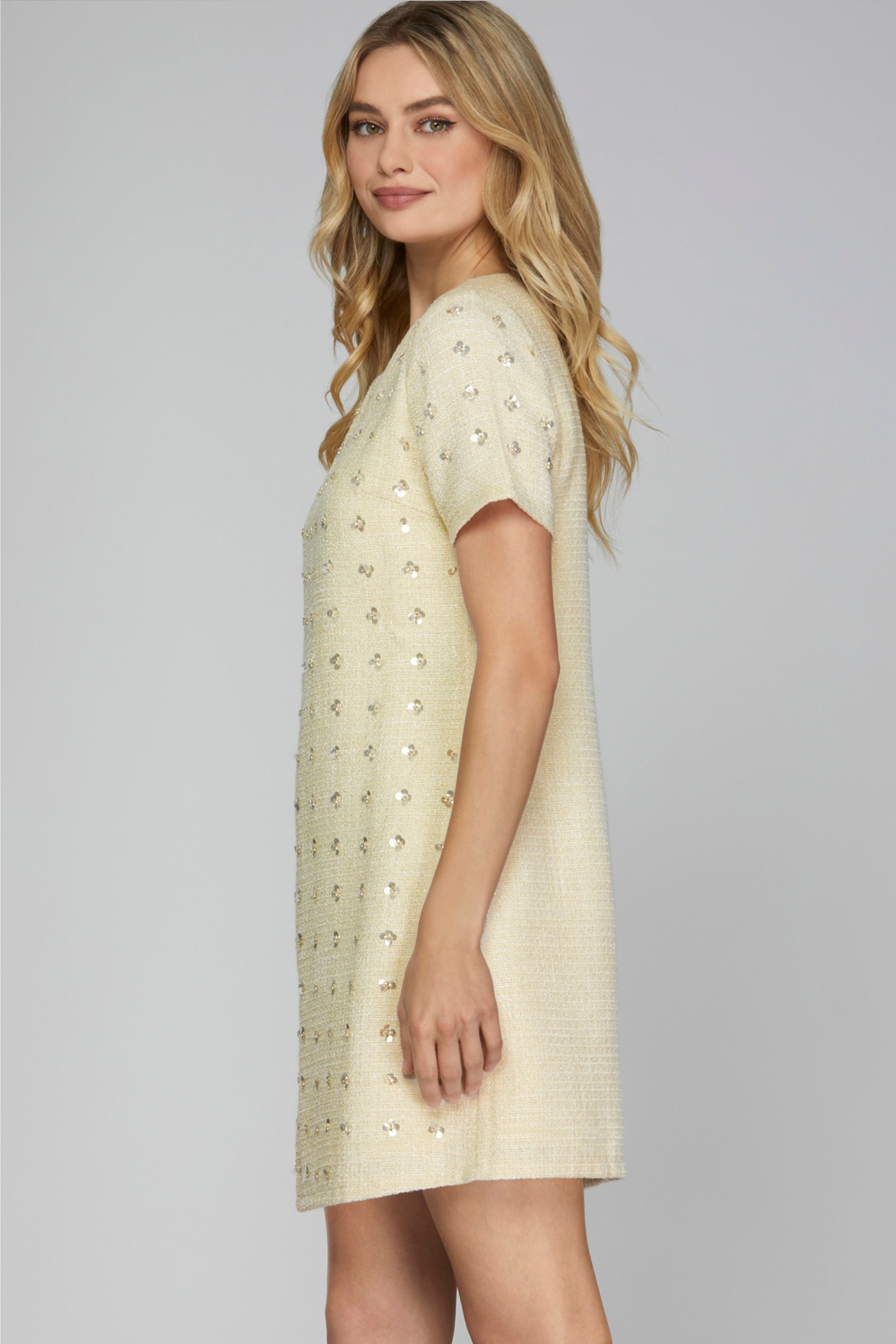 Ayers Tweed Mini Dress
