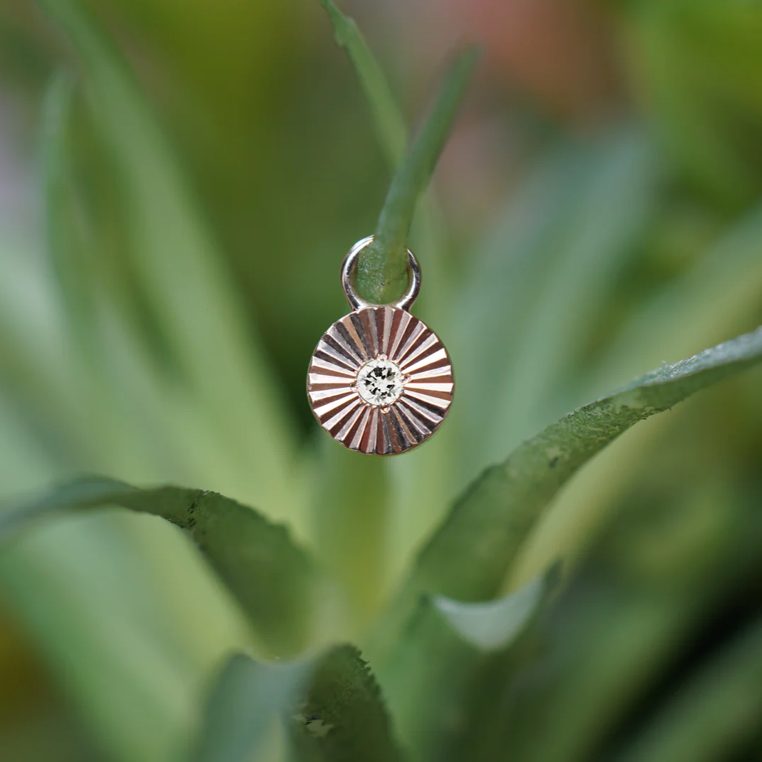 Sloan Ray Charm