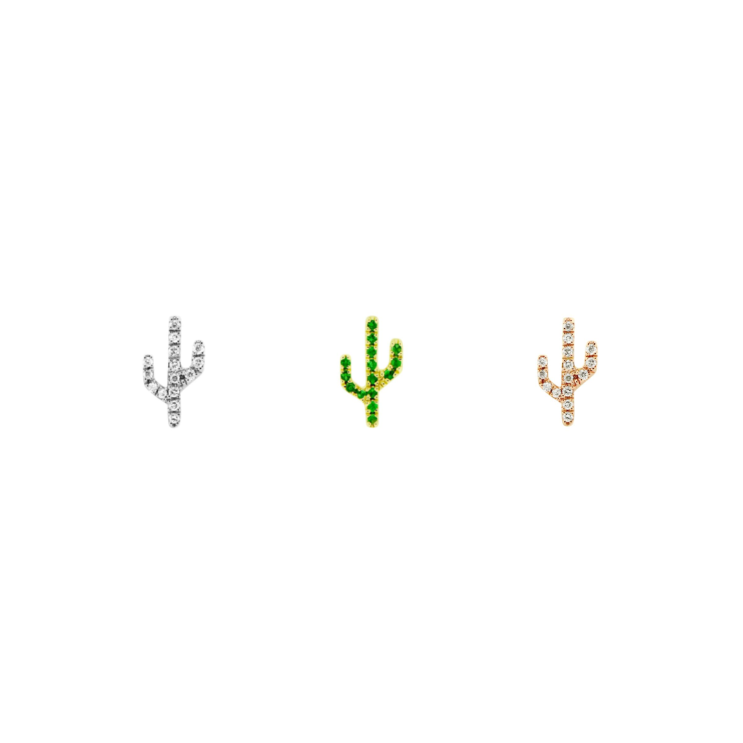 Cactus - Sonoran