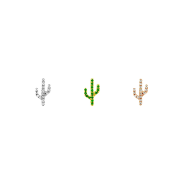 Cactus - Sonoran