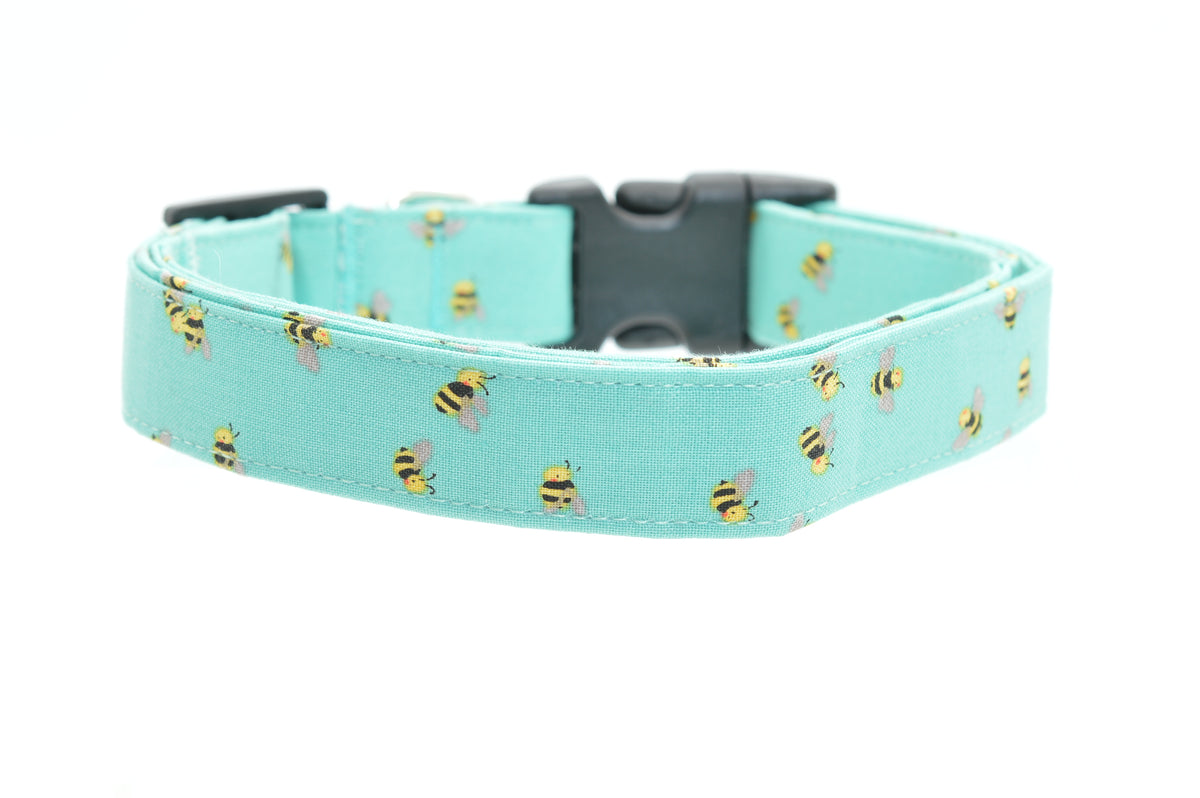 Dog Collars