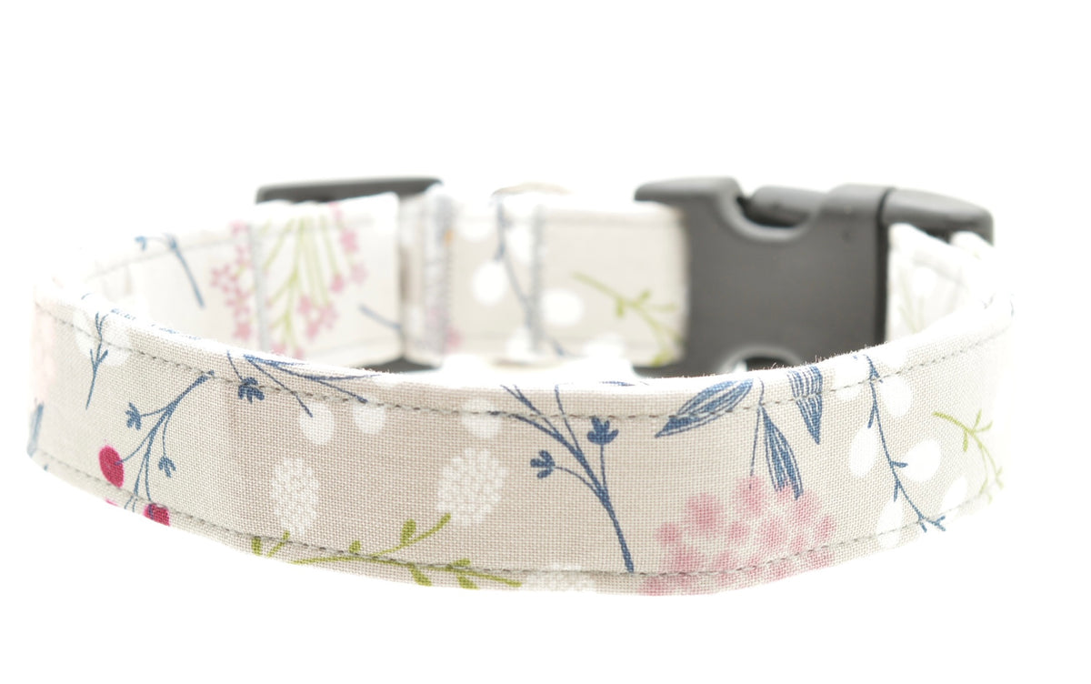 Dog Collars