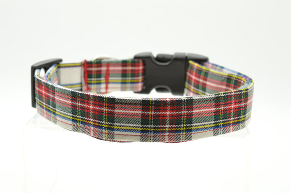 Dog Collars
